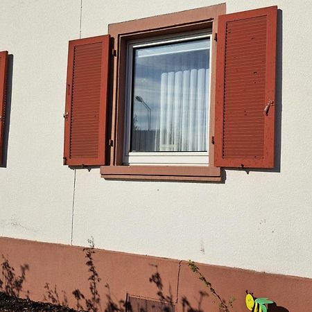Schoene Wohnung In Worms Private Gastgeber Exterior foto